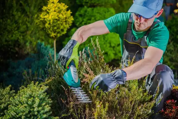 landscaping services Byron Center